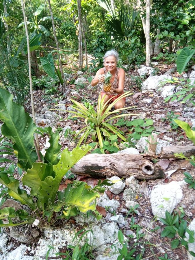 Ecolodge Uh May Francisco Uh May المظهر الخارجي الصورة