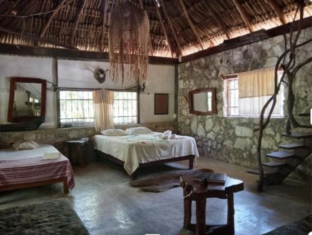 Ecolodge Uh May Francisco Uh May المظهر الخارجي الصورة