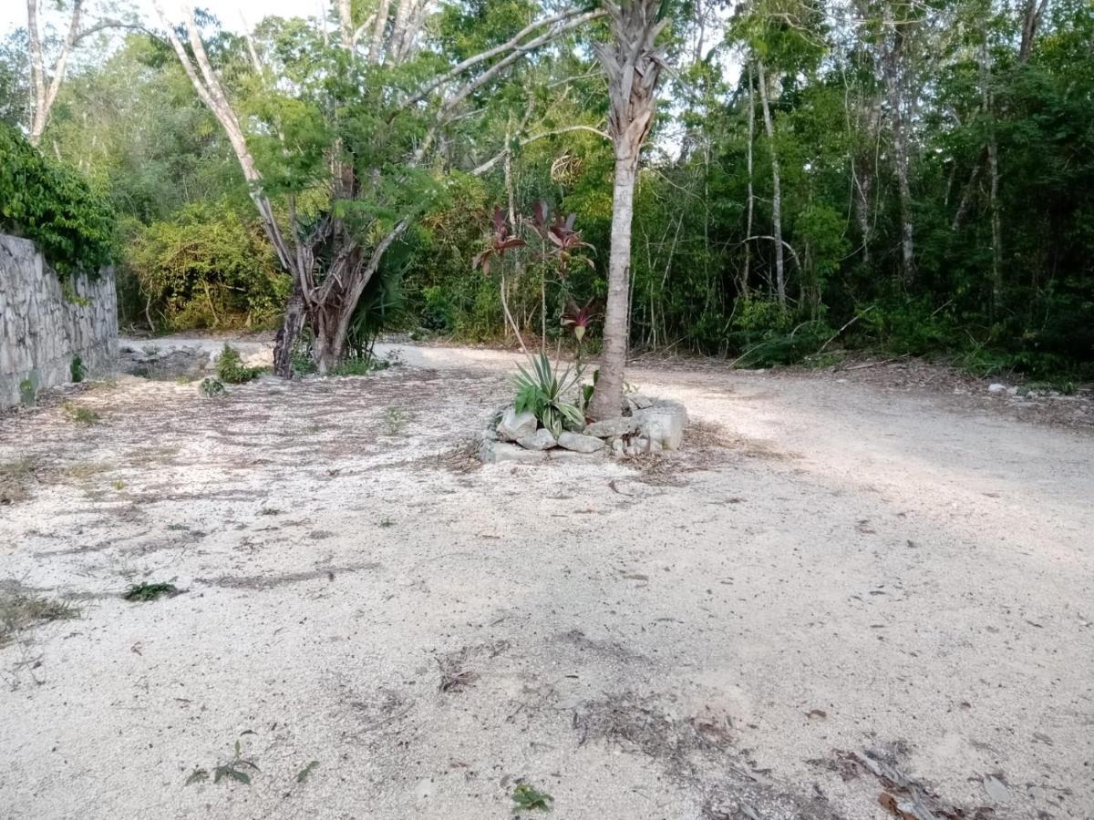 Ecolodge Uh May Francisco Uh May المظهر الخارجي الصورة